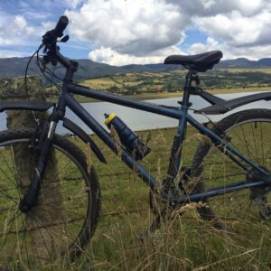 Bicicleta Trek 820